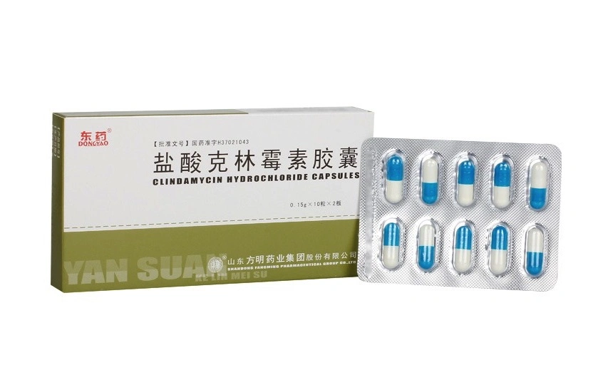 Clindamycin Hydrochloride Capsule for Anaerobic Bacteria