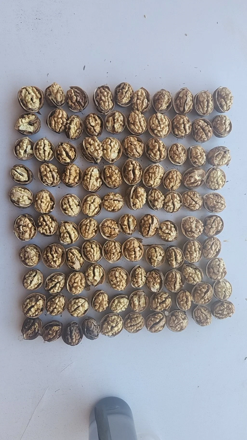 Chinese Xinjiang Extra Light Halves Walnut Kernel Walnut 185 Inshell