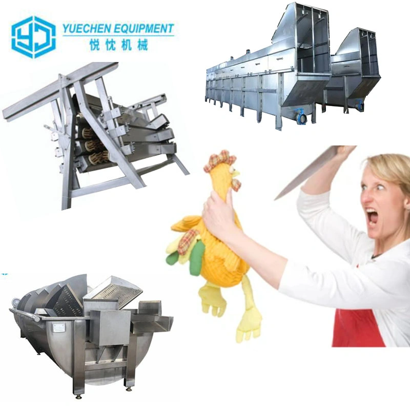 Complete Chicken Slaughtering Line Trun Key Project Poultry Slaughter Equipment for Sale