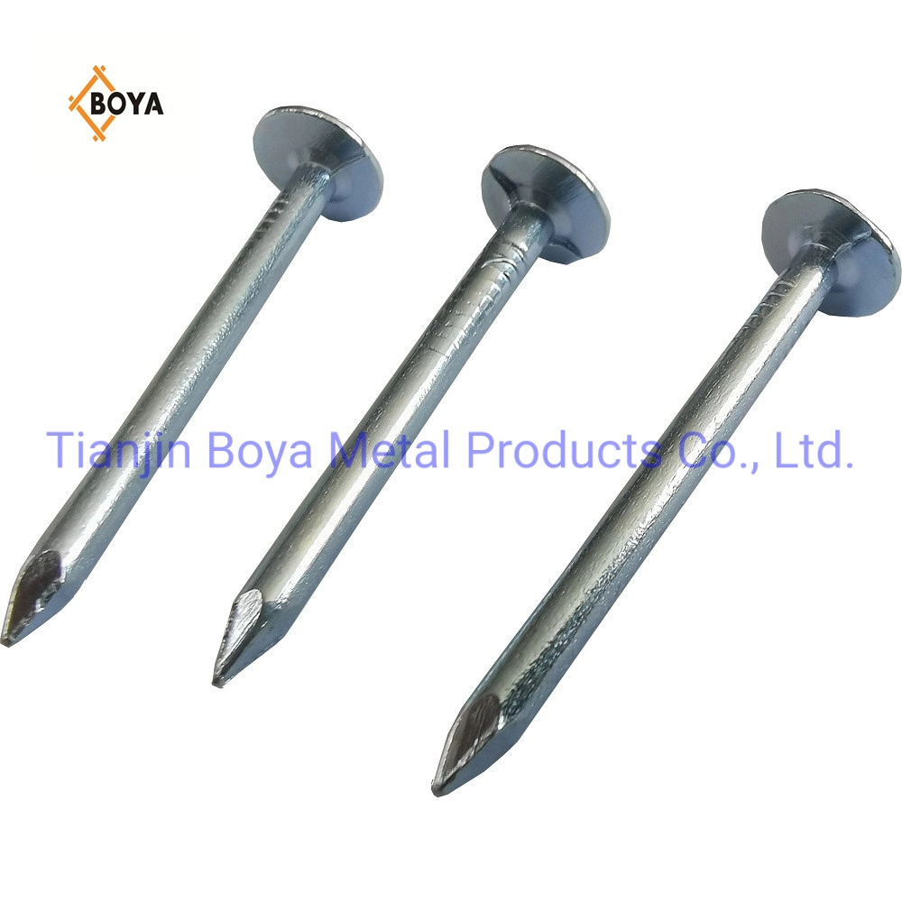 China Galvanized Large Head Clout Nails /Big Head Nail/Roofing Nail