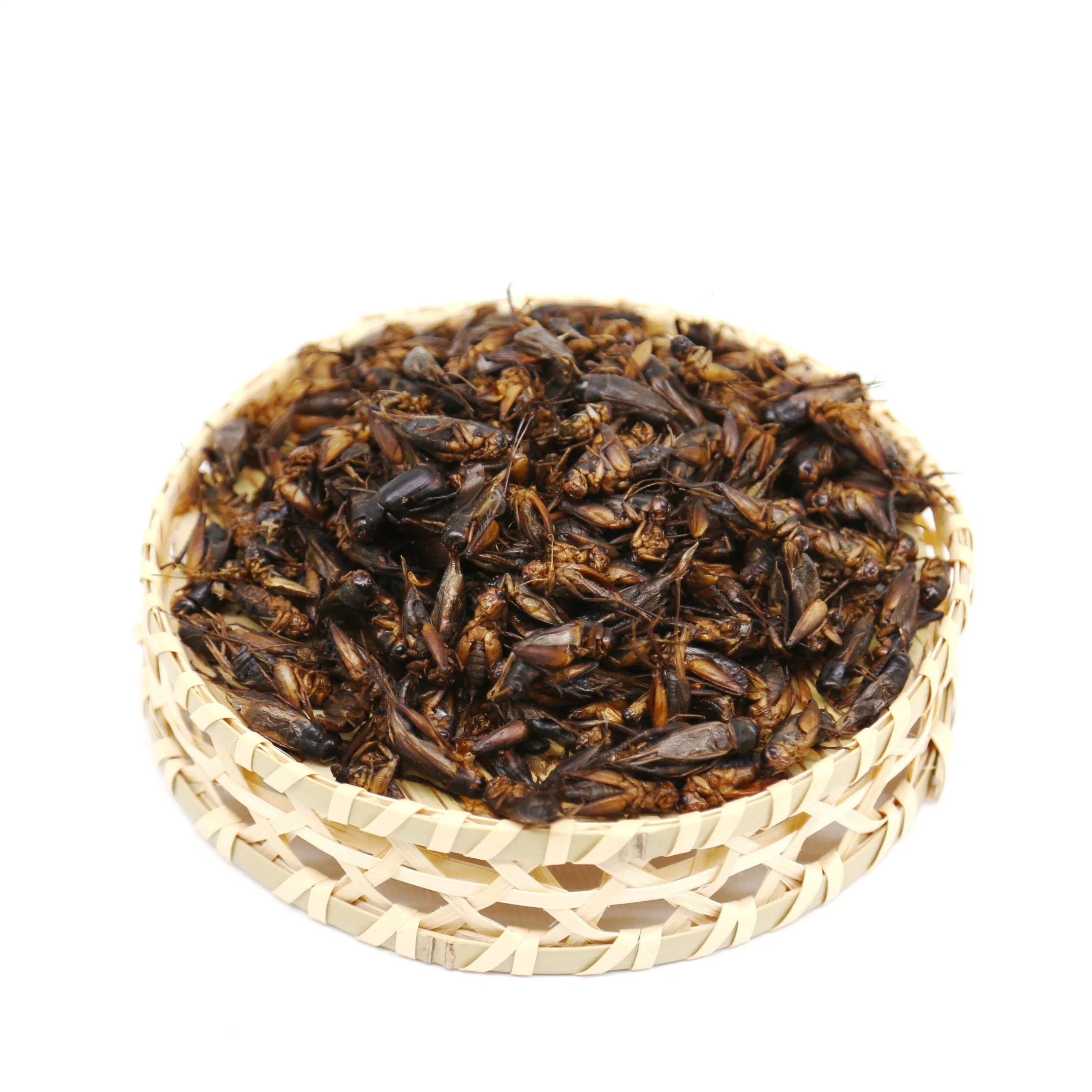 Supply of Export-Grade Dried Crickets Dried Bread Crickets Bird Feed