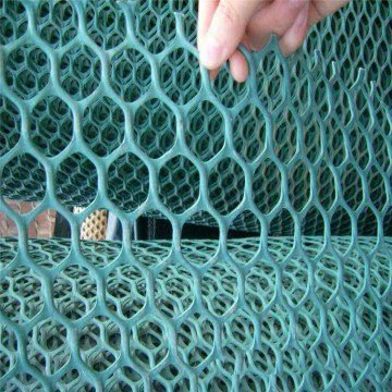 2019 High quality/High cost performance  Plastic Net Chicken Wire Mesh in The Philippines