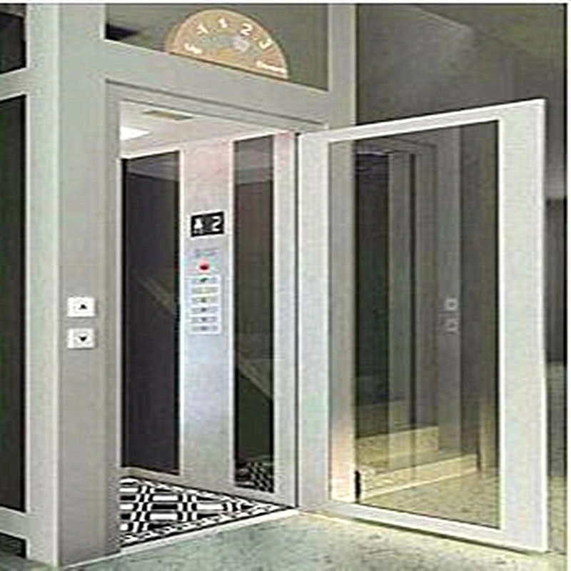 Hot Selling Lift Villa Elevator With Glass Steel Shaft