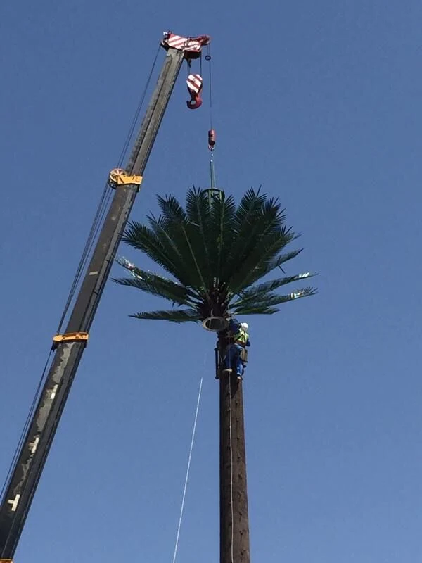 Palmera tubular de la Torre de Telecomunicaciones de la torre de la torre de telecomunicaciones