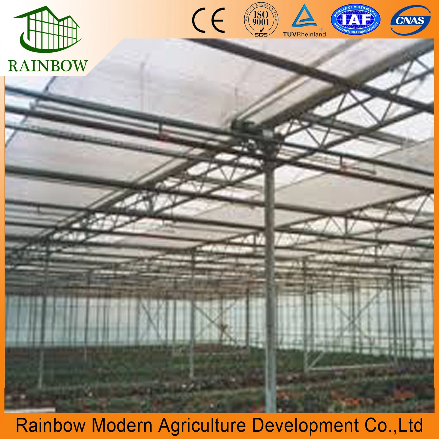 Multi Span Cheap Flowers UV Protected Plastic Film Greenhouse