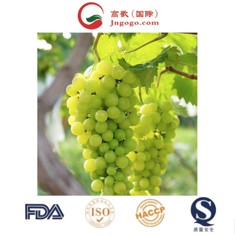 Wholesale/Supplier Box Style Storage Packaging Grape Bareroot Grape Shine Muscat Grapes