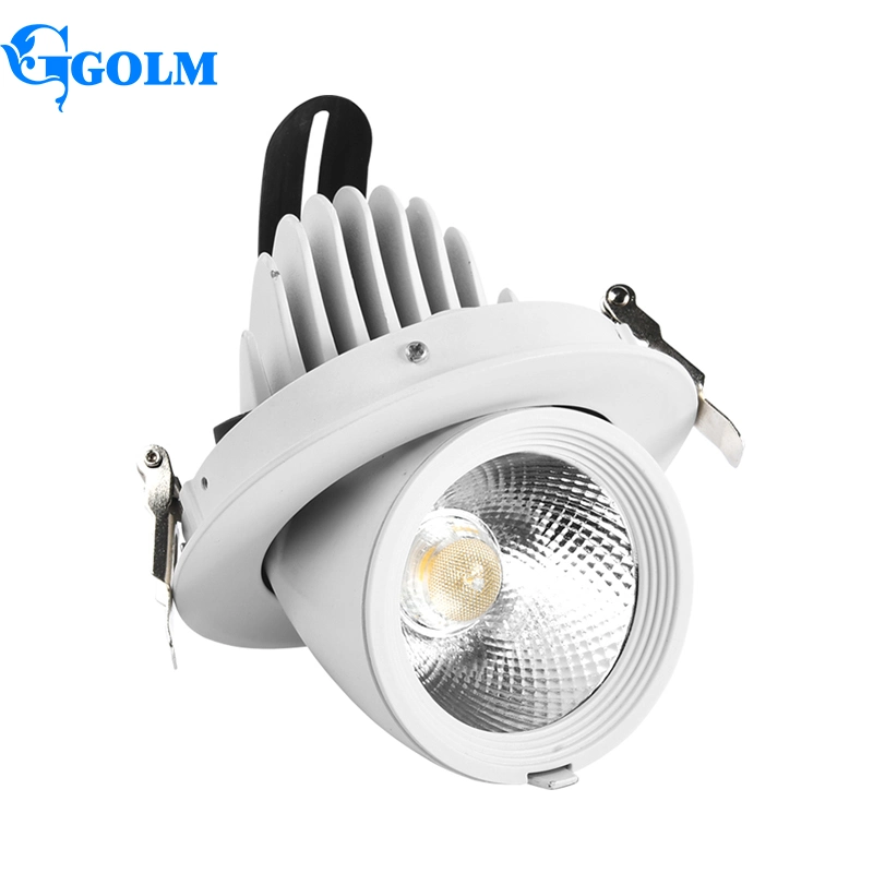 Adjustable Trunk Shape No Flicker Aluminum Embeded Moveable COB LED Downlight