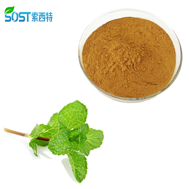 Hot Selling Pure Natural Peppermint Leaves Powder