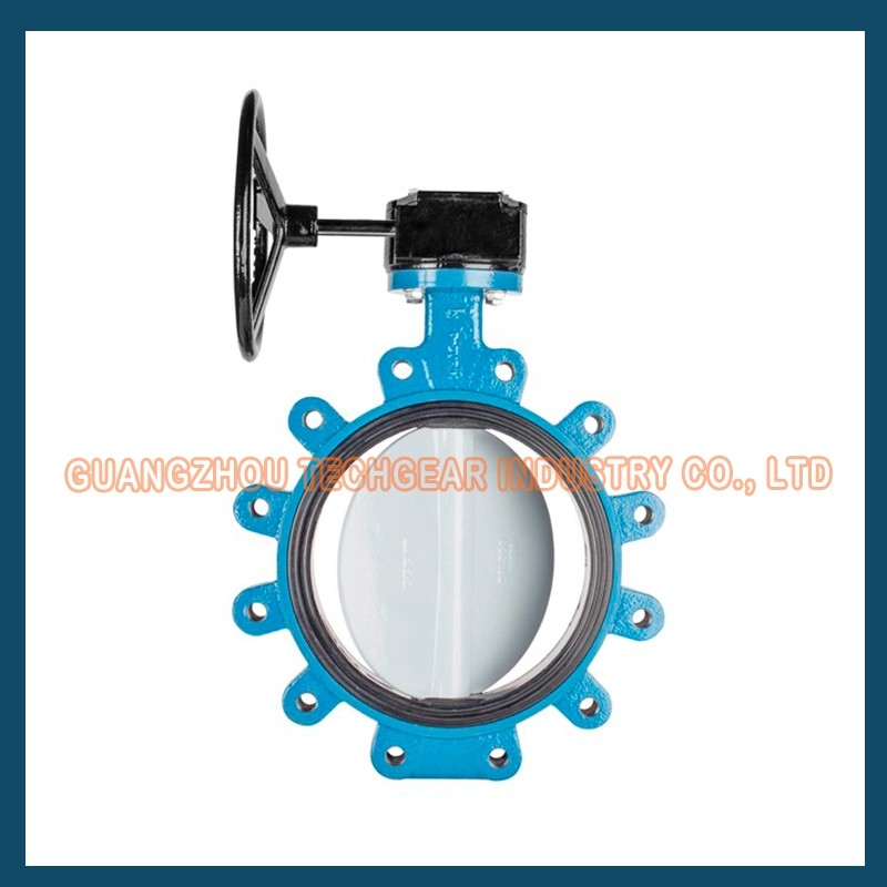 API 609 EPDM Soft Seated High Lift Span Butterfly Valve with Exchangeable Seat