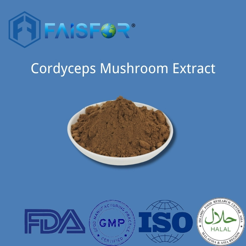 Lebensmittel Additive Cordyceps Pilz Extrakt Pulver Cordyceps Sinensis für Gesundheit Essen