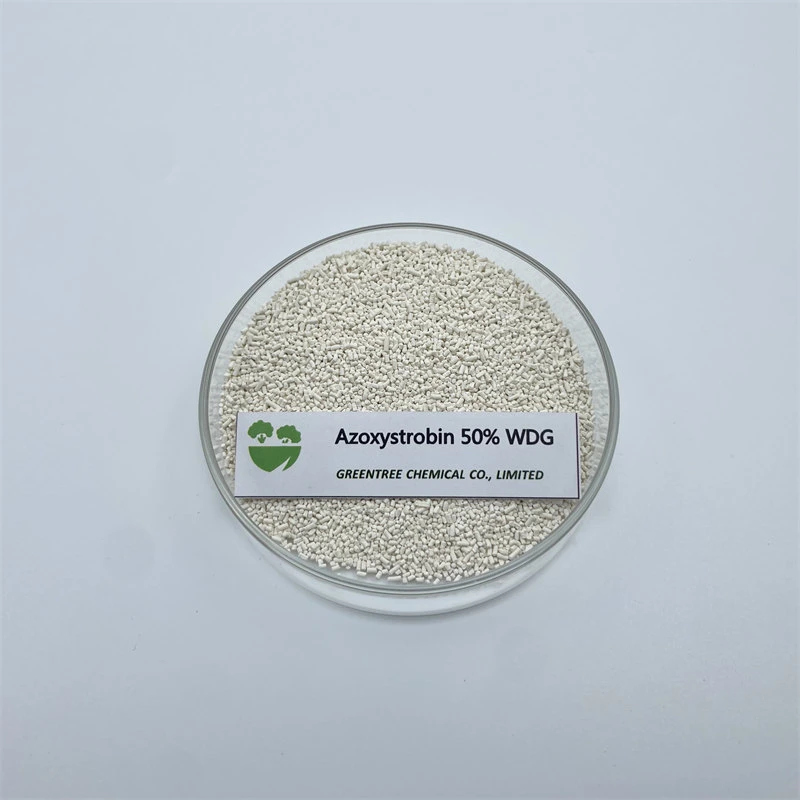 CAS no 131860-33-8 Esterilizaç. Pesticidas azoxistrobina 50% WG WDG