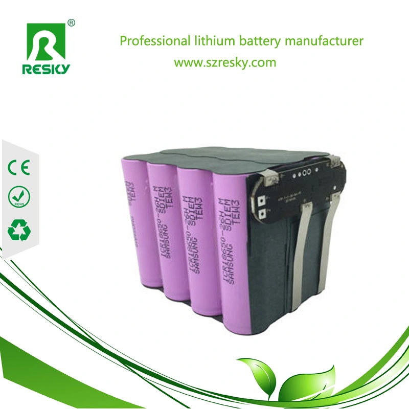 Rechargeable 7.4V 2s 8800ah Lithium Ion Battery Packs for Back up