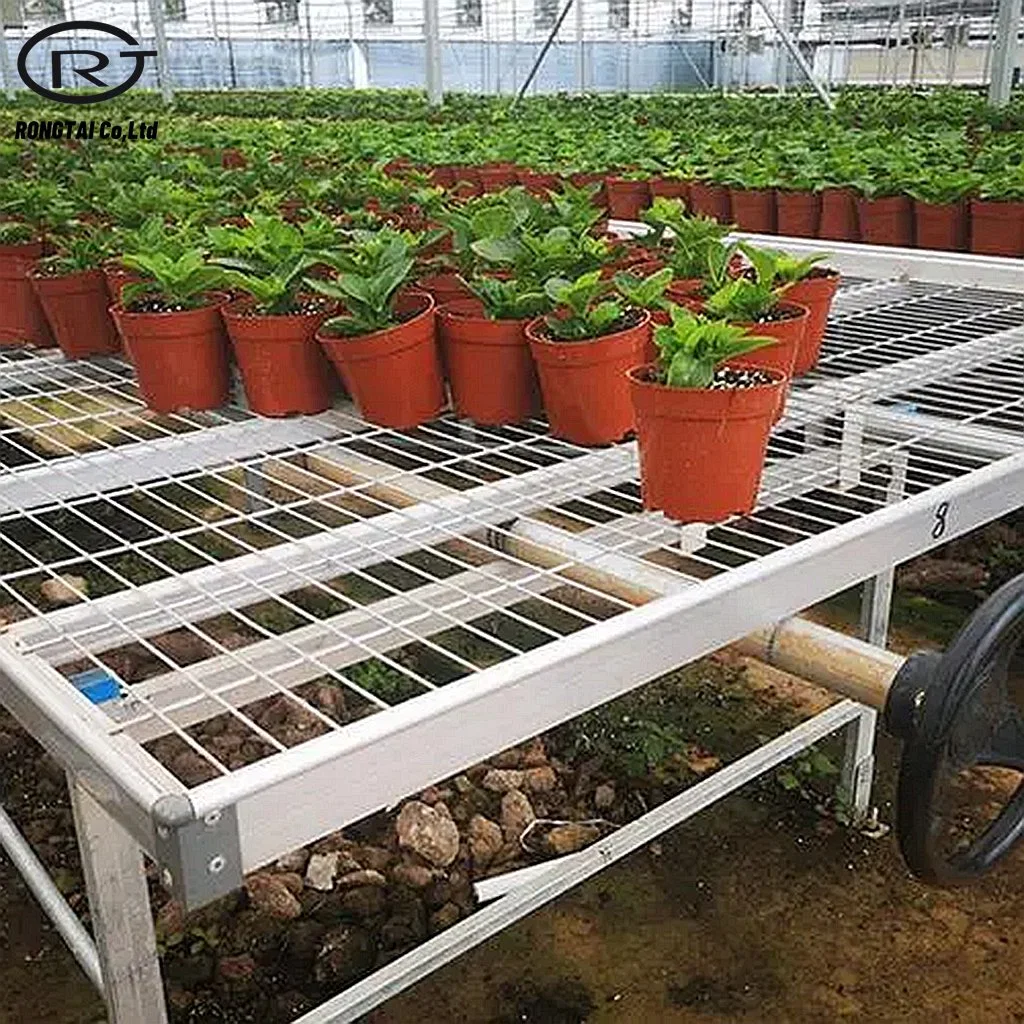 La Hidroponía invernaderos comerciales de bienes muebles semillero Semillero de flujo de reflujo de rodadura de la bandeja de sistema de banco tabla Inundación