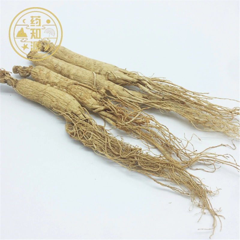 Ren Shen chino de la Medicina Natural Raíz de Ginseng secos a granel