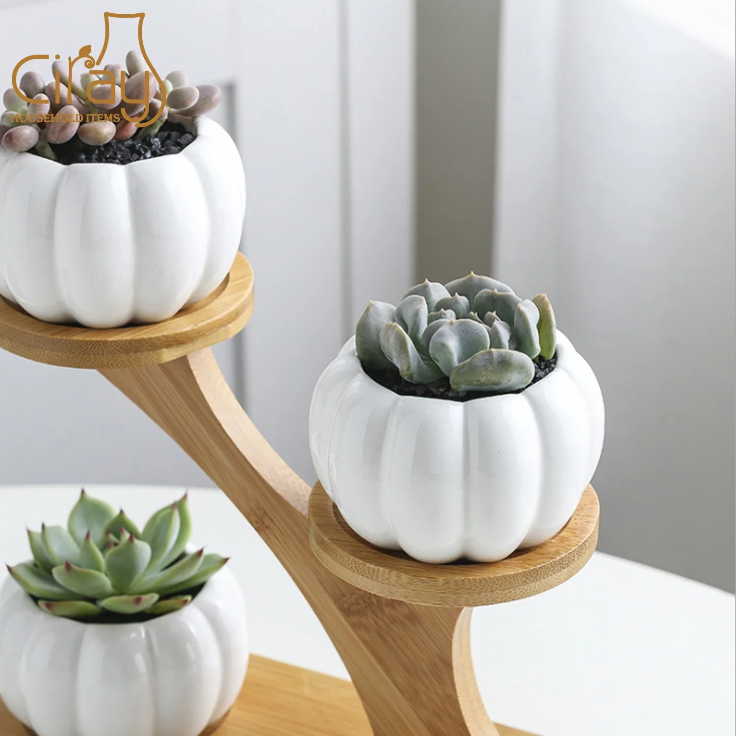 Small Pumpkin Shape Ceramic Flower Pot with Bamboo Stand