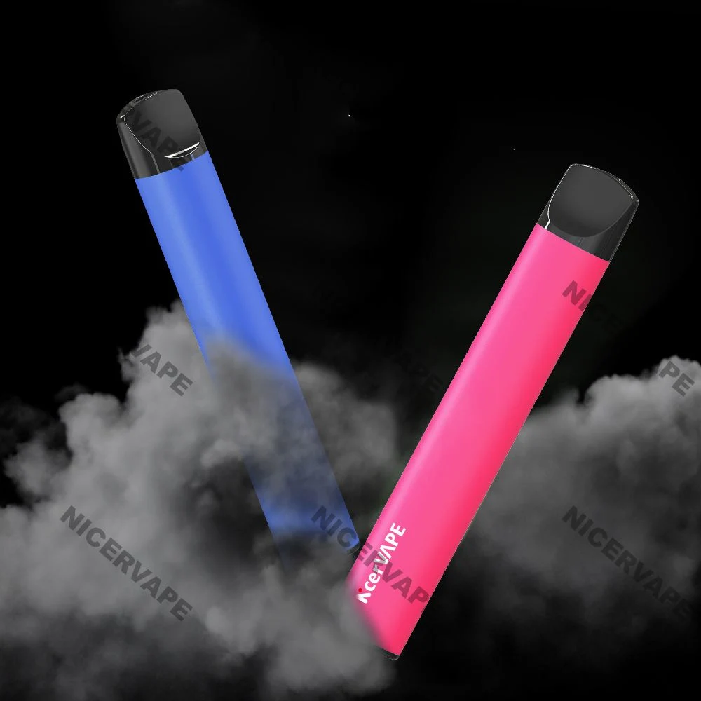 Nicervape 600 Puffs China Shenzhen Direct Supplier Wholesale/Supplier Disposable/Chargeable Vape