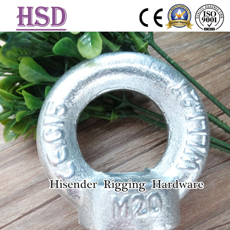 E. Galvanized DIN582 Eye Nut of Rigging Hardware