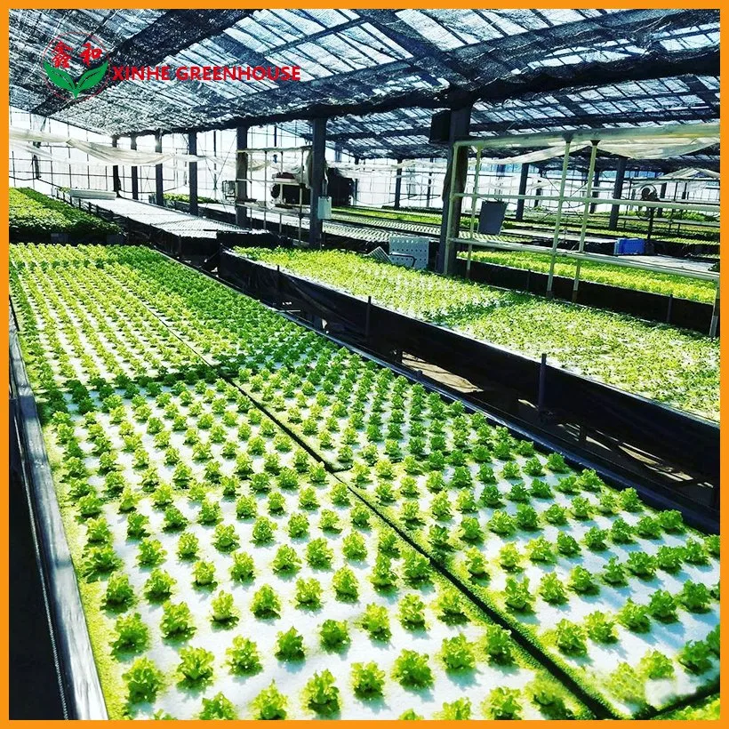 Automatic Machine Agriculture Spreader Greenhouse Planting Fertilizer Integrated Equipment with Good Price