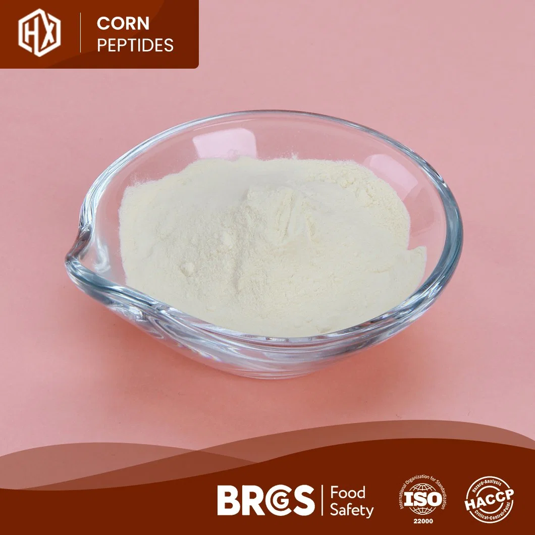 Haoxianco OEM Custom BodyBuilding Pepide Water Soluble Cornuble Pepide Powder الجملة عالية الجودة صغيرة موليكولار نشط الذرة بيبتيد الكولاجين بيبتيد