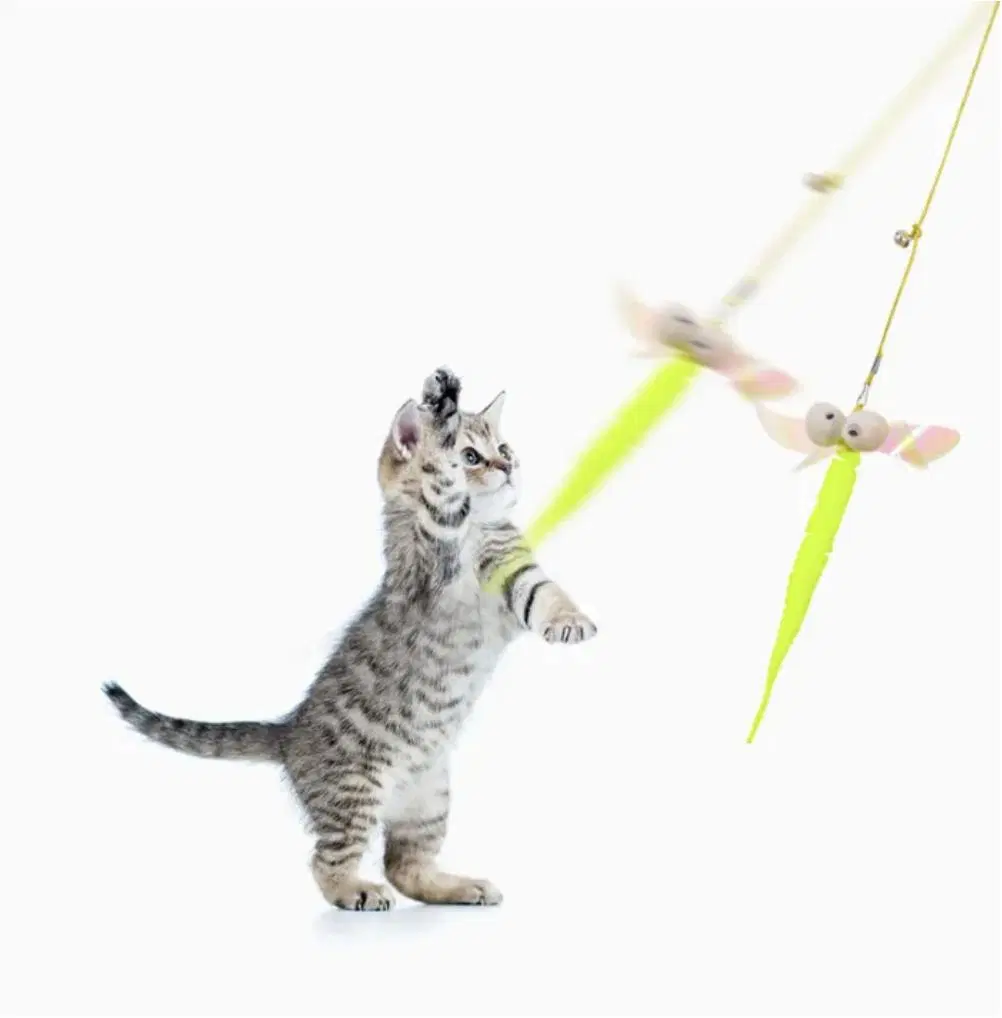 Hot Sale Free up Your Hands Tease Cat Stick Toy Hanging Door