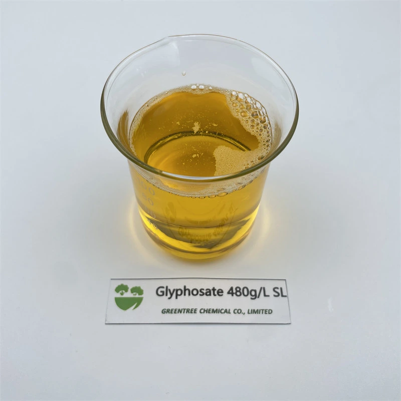 Agricultural Chemicals Herbicide Glyphosate Isopropylammonium 480g/L SL 48% SL