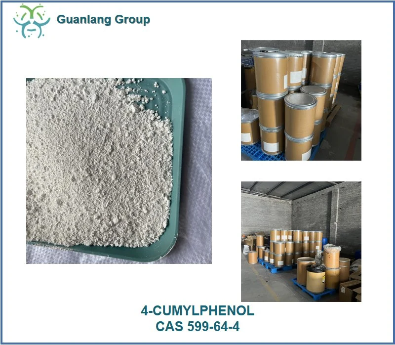 Supplier in China 4-Cumylphenol CAS 599-64-4 High Purity with Low Price