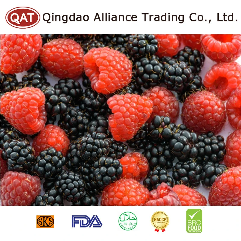 New Crop Kosher IQF Deep Frozen Fruits Mixed Berries in Packaging Bag Price