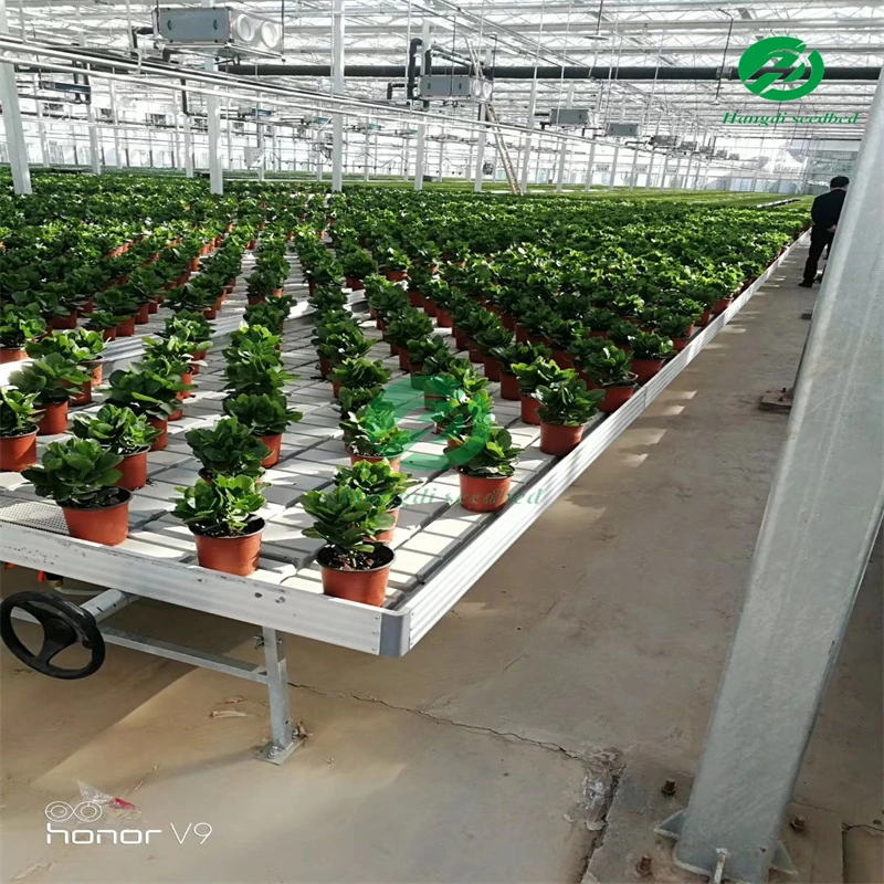 Drip Fertilization System Efficient Tool Seed Greenhouse Rolling Workbench with Hydroponic Tray