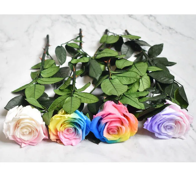 Forever Eternal Rose Preserved Artificial Rose Flower with Stem 8-9cm Real Touch Flowers Plastic Flower Fresh Cut Flower