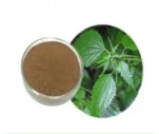 Neetle Root Extract/100% Natural/Pure High Quality/ ISO Certified Quality