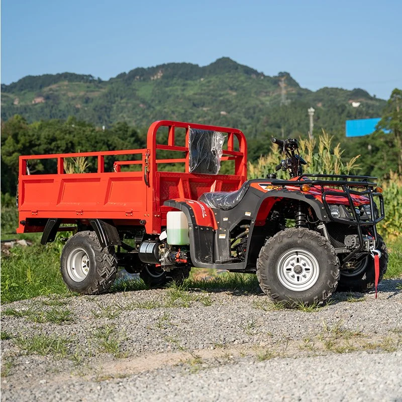 Frein à tambour Vitesse maximale 65 km/h Quadricycle 250cc 300cc 4X2 Buggy de plage