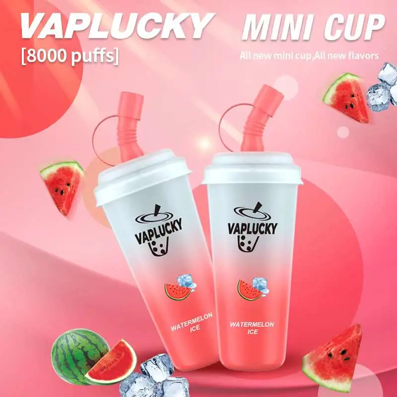 Varluck Luck Cup 9000 Puffs Zbood Customize Te6000 Fruit Flavor B5000 Wonder Grativape Pod Disposable/Chargeable Vape