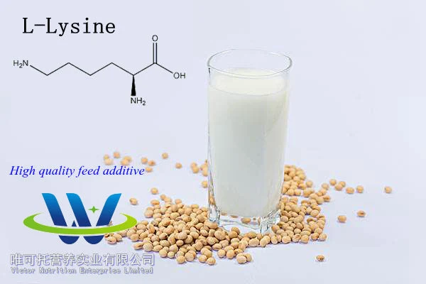 Feed Supplement Feed Grade 98.5% L-Lysine HCl for Animals