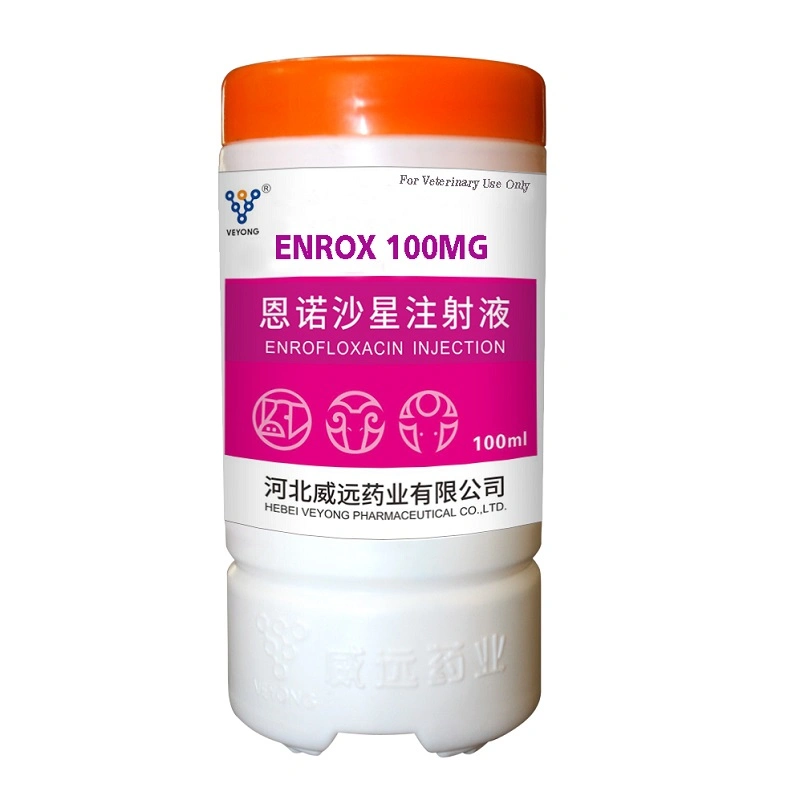 Poultry Medicine GMP Manufacturer / Supplier Enrofloxacin 10% Oral Liquid for Animal