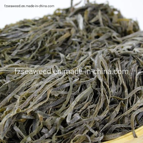 Natural Seaweed Contains Iodine, Sea Algae Cut Sun Laminaria Japonica