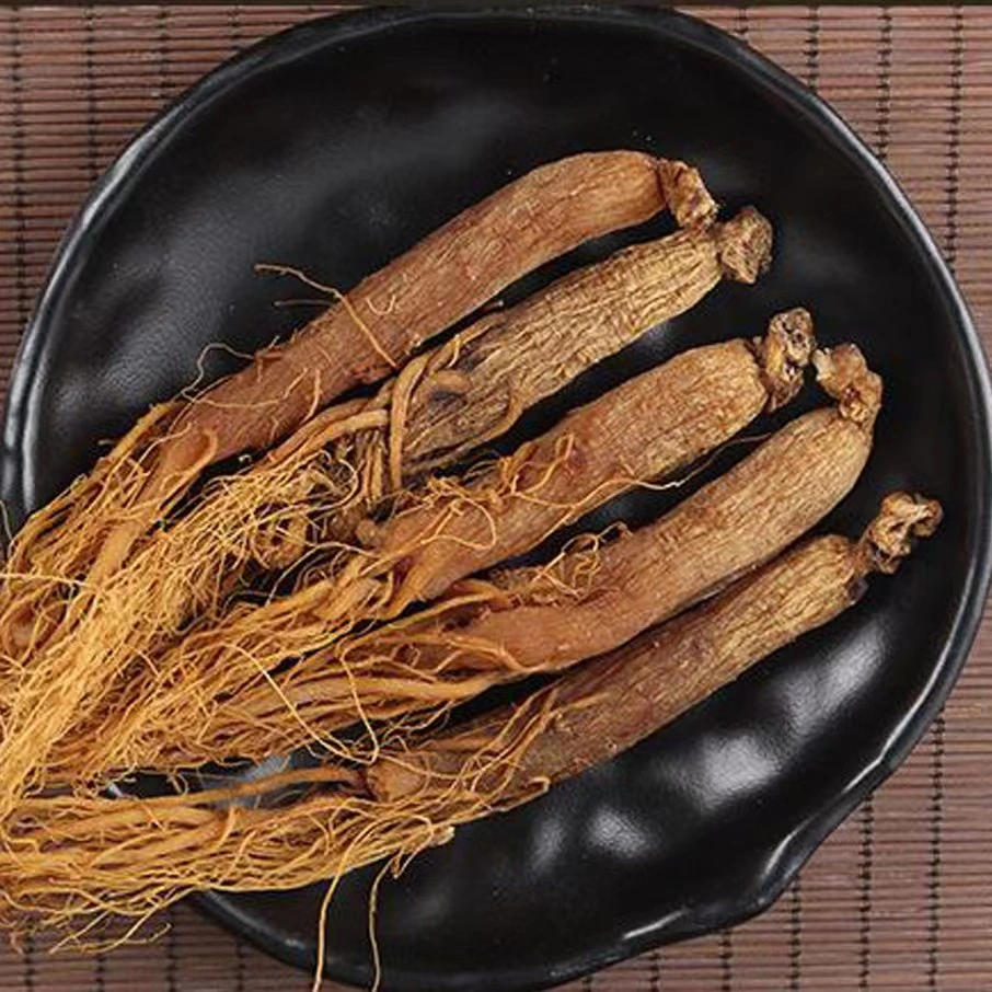 Suplemento de Salud de Medicina de Herb China 4 años de antigüedad Ginseng Rojo Raíz