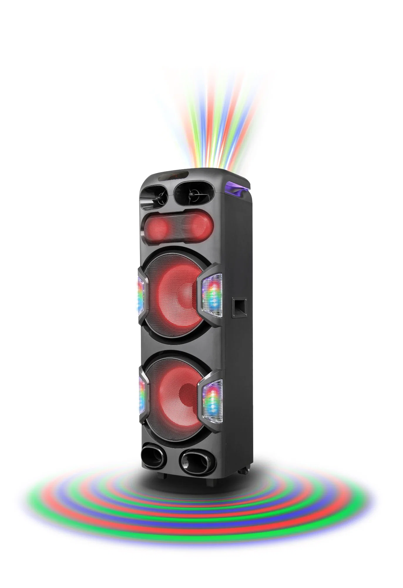 Dual 10 Inch Private Sound Equipment with Laser Light for Speaker