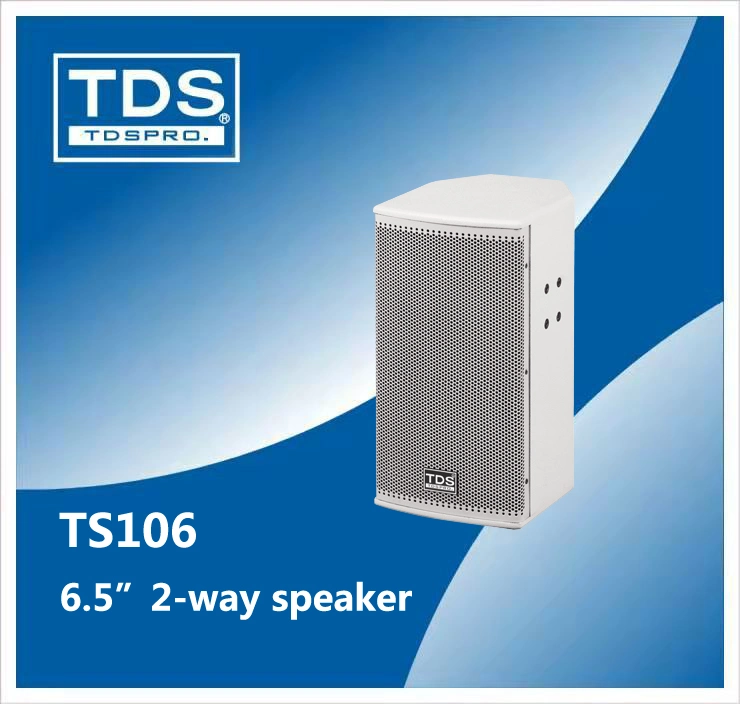 6inch Speaker for Background Music Conference Sound System