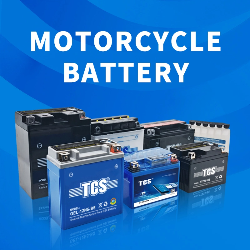 TCS Motorcycle Battery Dry Charge Ordinary Water Battery 6N4