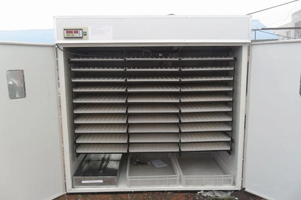 Hhd Professional Automatic Egg Incubator for Sale Yzite-17