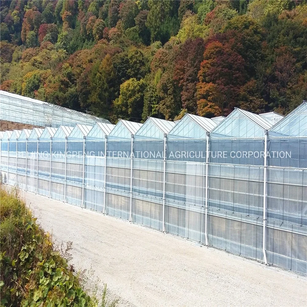 Arch Type Steel Structure Poly Film/PC Sheet Covered Greenhouse for Vegetables/Flowers