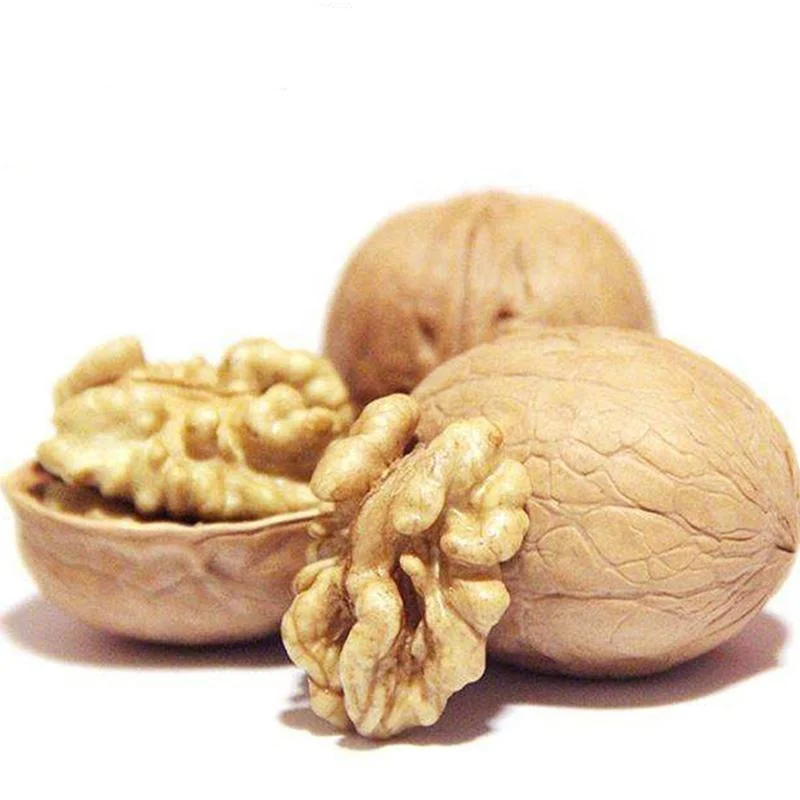 Nature Walnuts Wholesale/Supplier Chinese Paper Shell Walnut