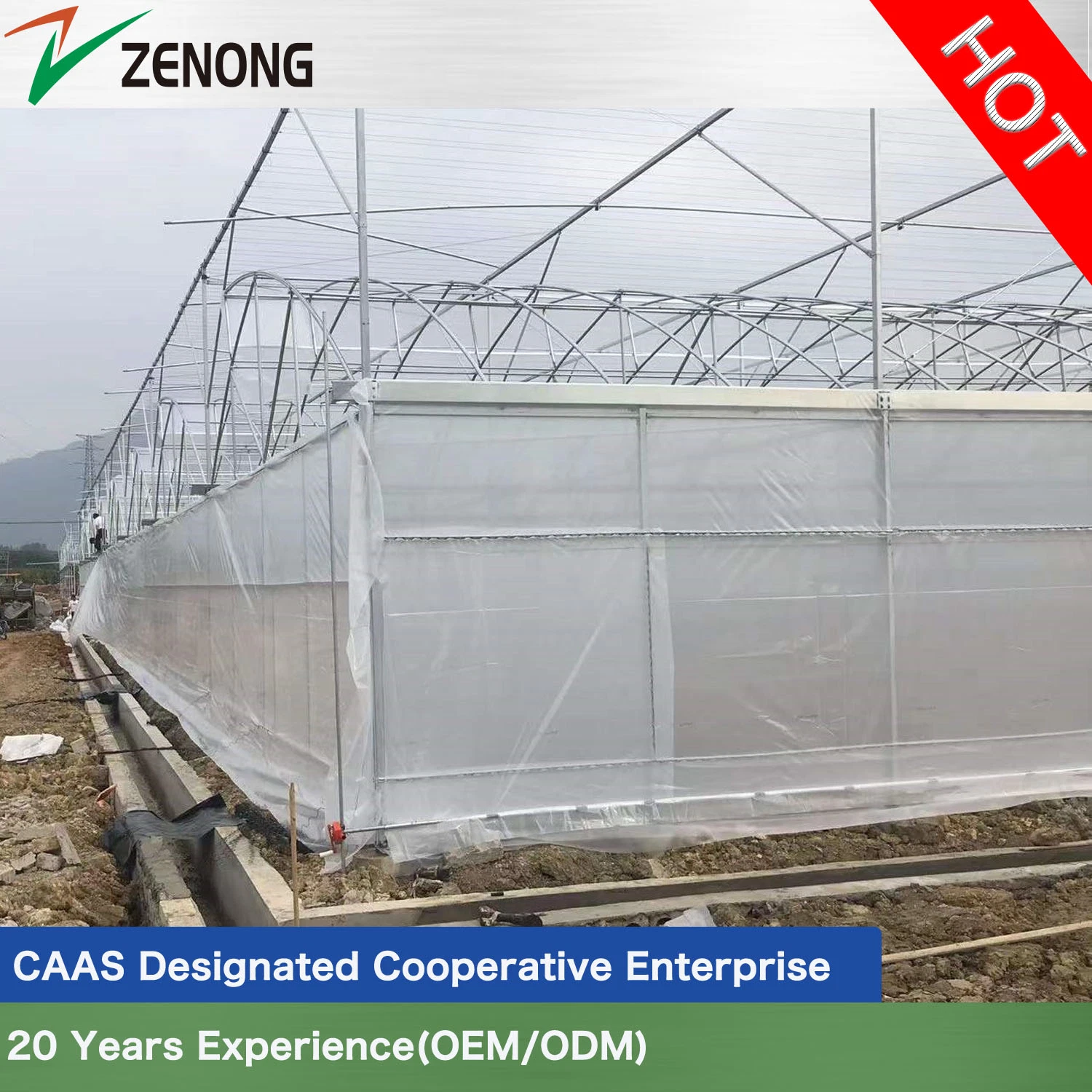 Plastic Film Greenhouse with Good Roof Ventilation and Cooling Heating System for Vertical Farming