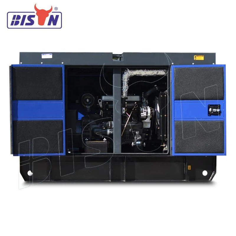 China Bison 10 kW Silent Generator 12kVA 50Hz/60Hz Dieselkraft Generator