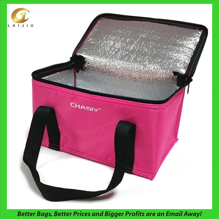 Insulated Promotional Can Cooler Bags for Food Package, Insulated Picnic Lunch Bag Large Soft Cooler Bag for Outdoor/Camping/BBQ/Travel