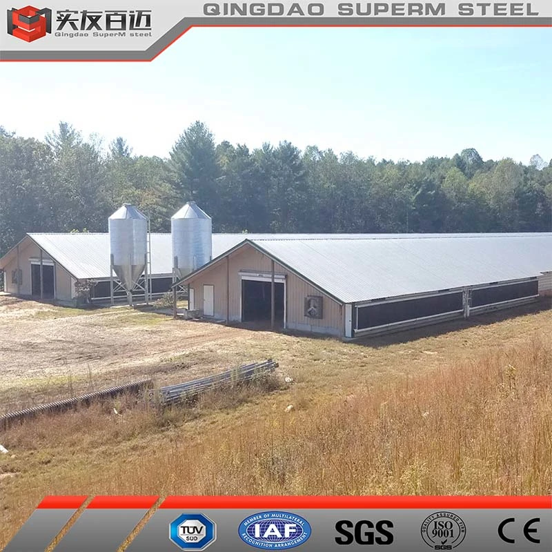 Beliebte Maßgeschneiderte Vorgefertigte Stahlstruktur Geflügel Farm Huhn Haus Coop