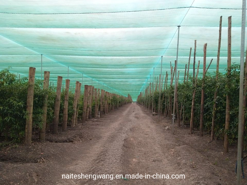 50 pour cent 4X50M Vert Agro ombre Prix de gros net avec les UV