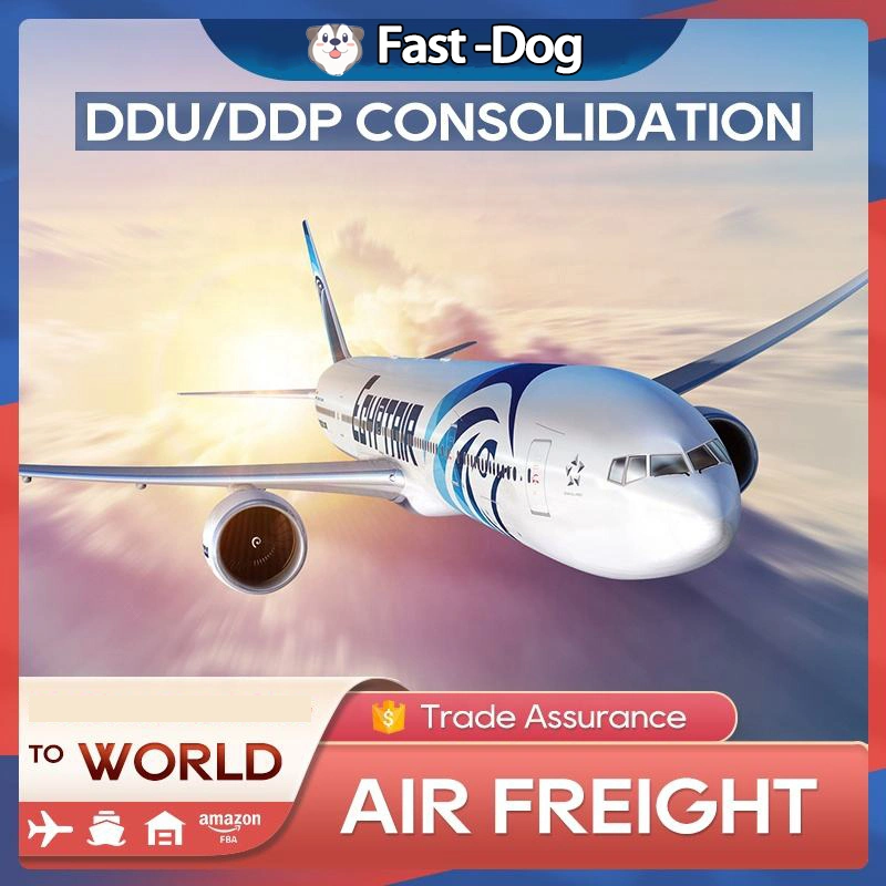 Top 10 DDP Air sea Freight Courier Shipping Agent de China a EE.UU. Reino Unido Australia Logística de Amazon Transporte de mercancías