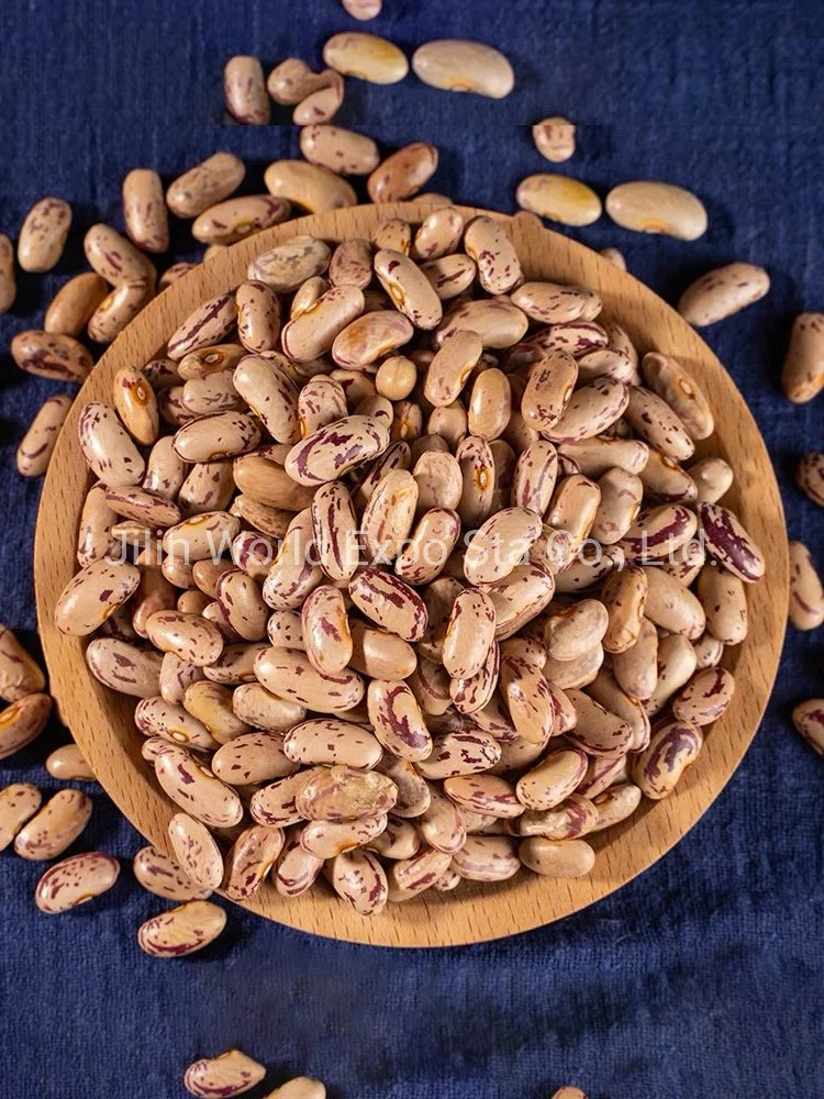 Wholesale/Supplier Dried Light Speckled Kidney Beans (LONG SHAPE) 180-190 for Food