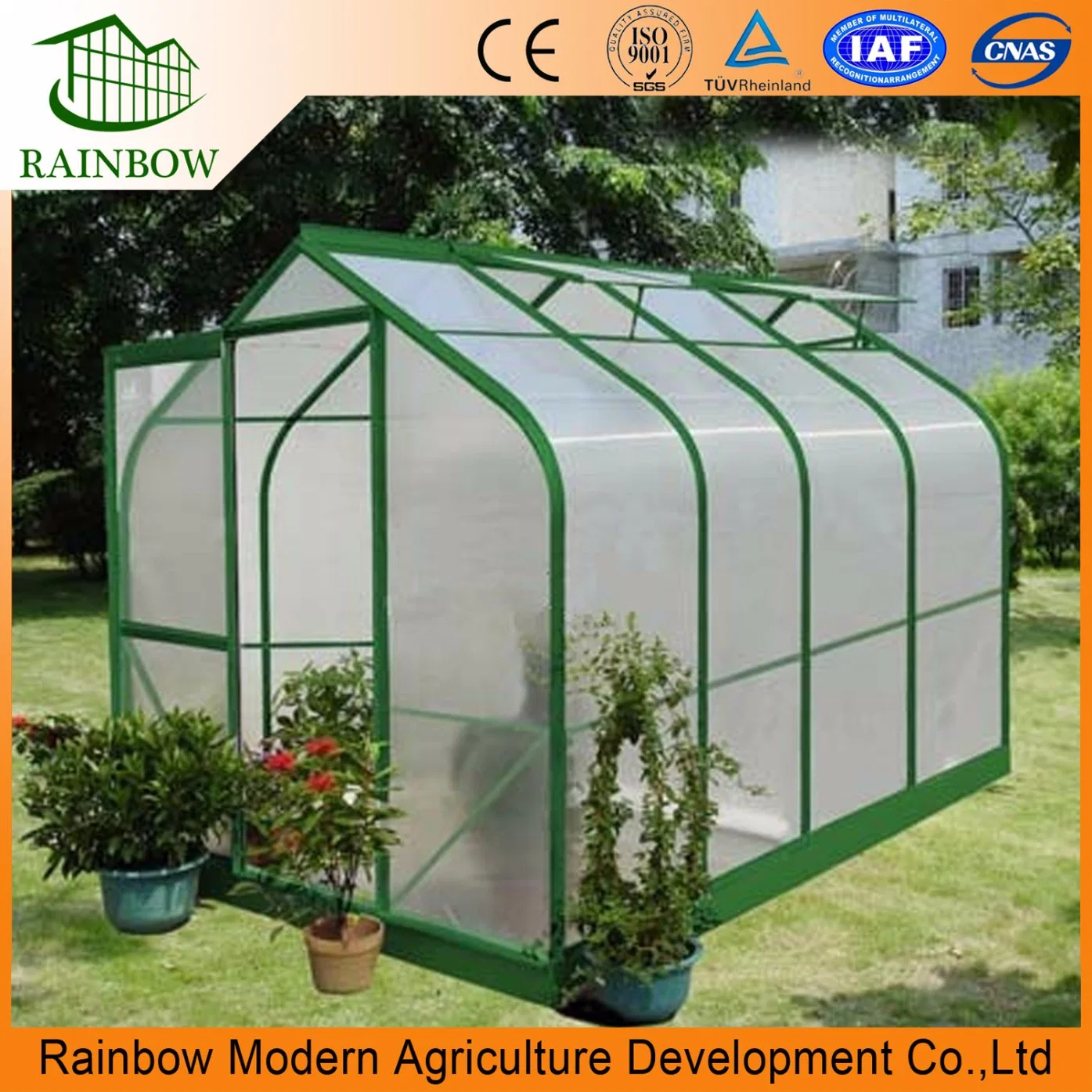 Hot-DIP Galvanized Steel Structure Polycarbonate (PC) Sheet Mini Greenhouse for Flowers/Vegetables